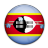 Flag Of Swaziland Icon